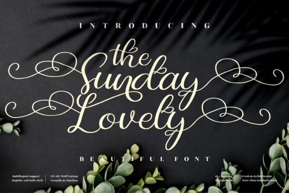 The Sunday Lovely Serif Font for Campaigns That Need Clearer Message Cues